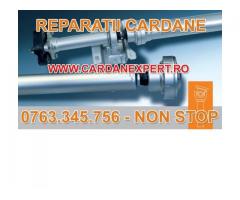 Reparatie Cardan DAF CF,LF,XF